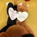 beanie babies lot