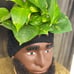 planter pot