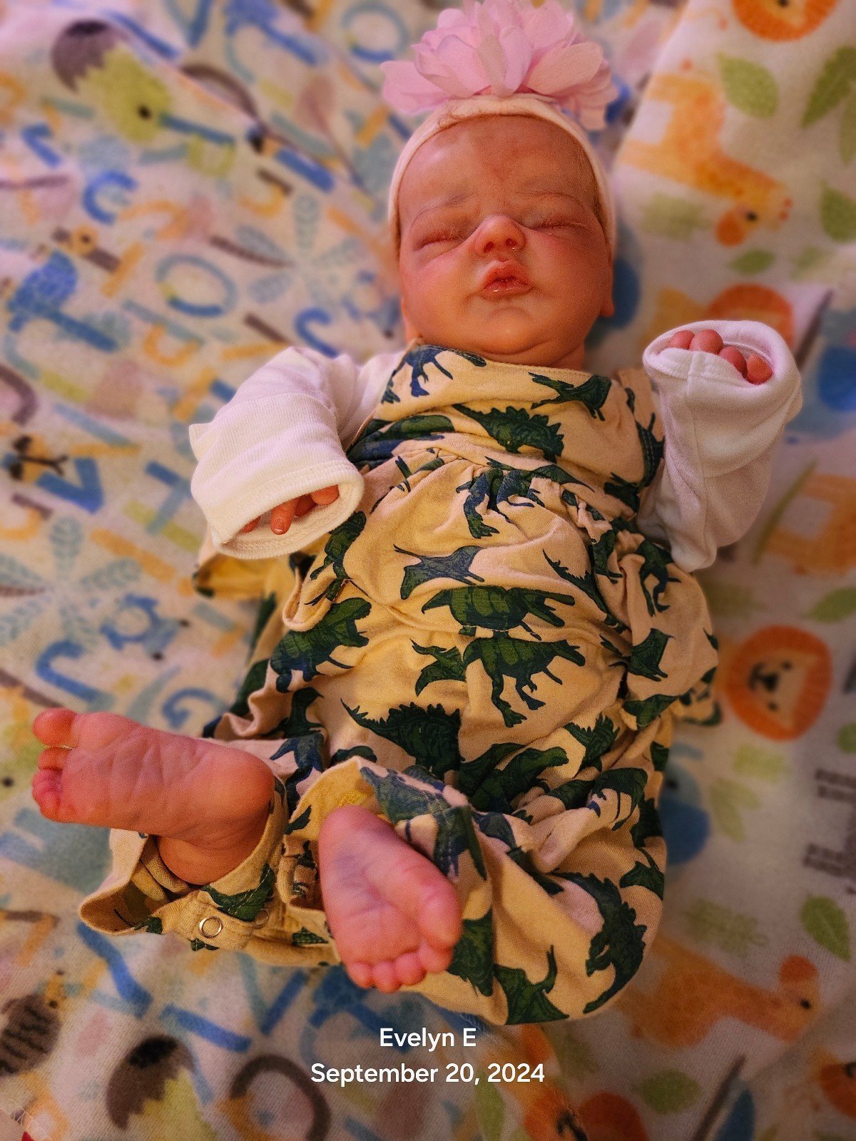 Reborn Paulin