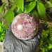 Natural Plum Blossom Tourmaline Crystal Sphere