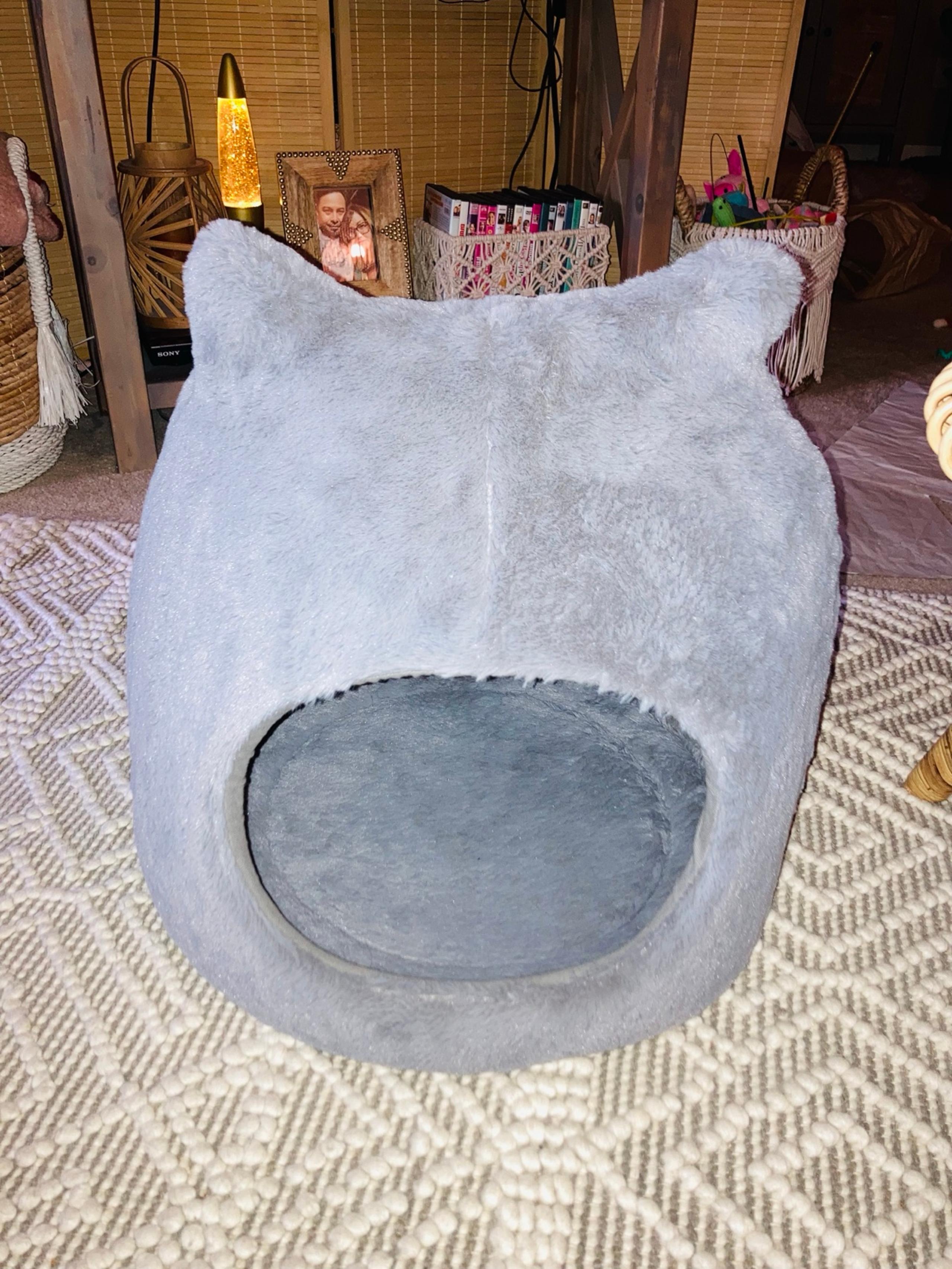Meow Hut
