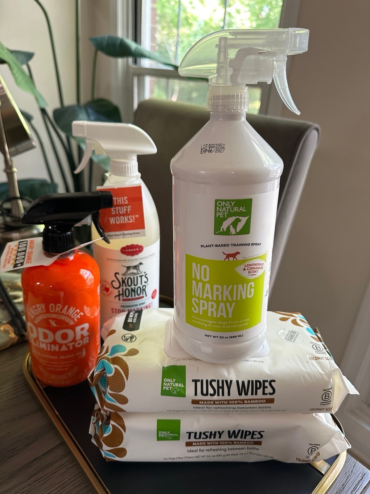Pet/dog supply Bundle