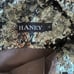 HANEY Valentina Sequin Gunmetal Mini Dress