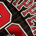 Scottie Pippen #33 Chicago Bulls NBA Jersey