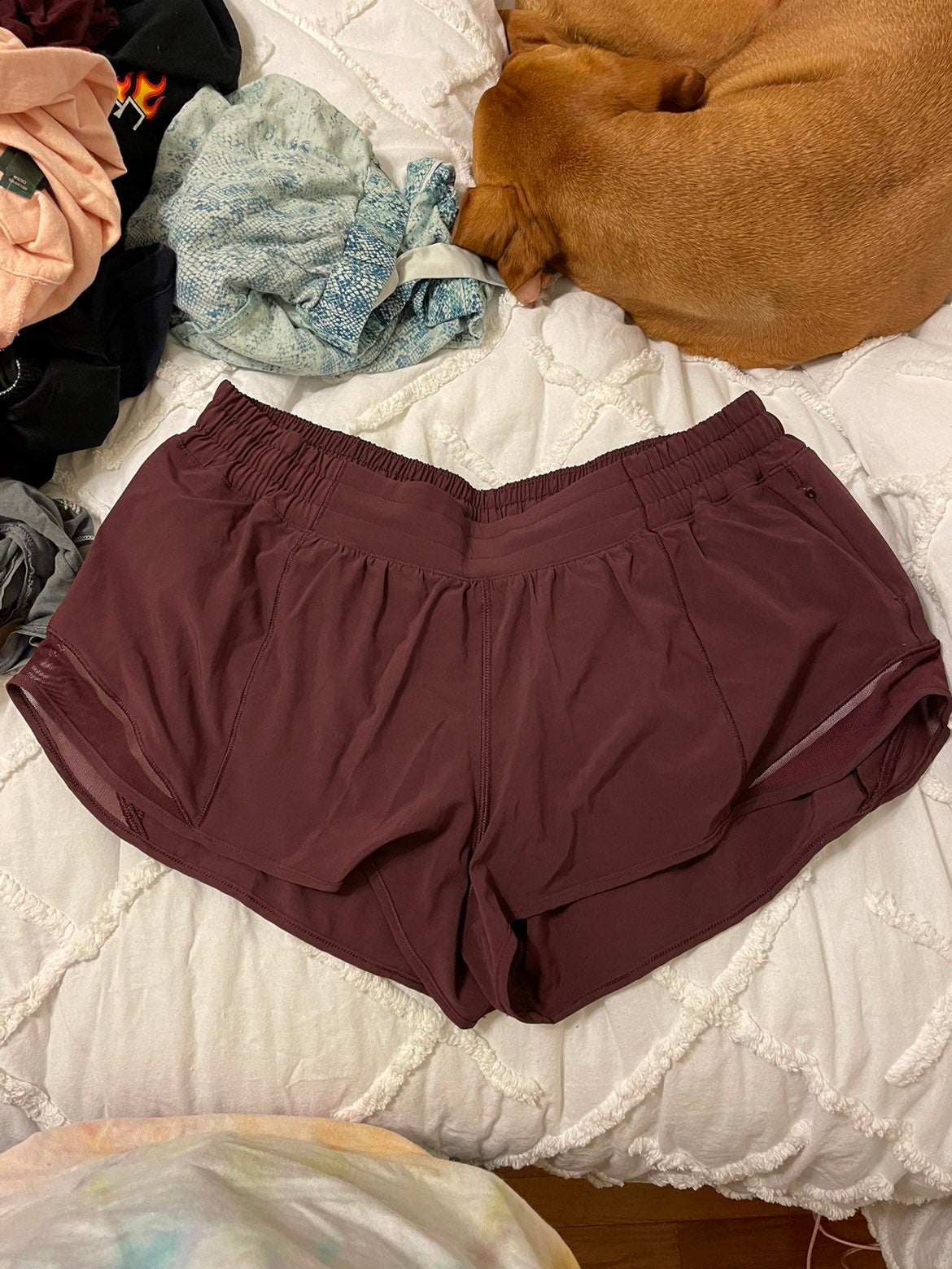 lululemon hotty hot shorts 12