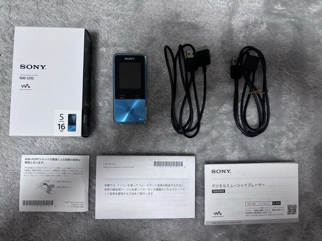 SONY NW-S315 16GB Digital Audio Player