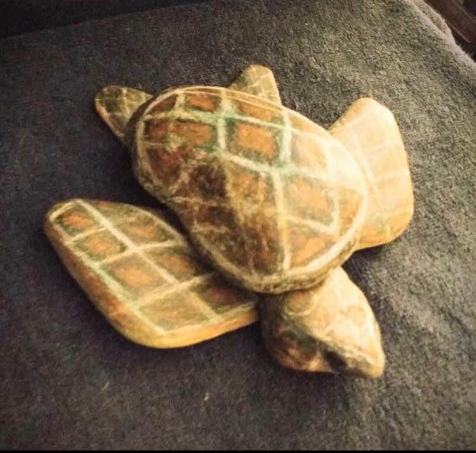 Turtle rock art