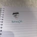 BEN BRUCE GUITAR PICK