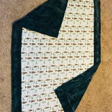 Kickee Pants Minky blanket