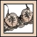 Black and Nude 5 Piece Embroidered Lace Lingerie Set Size Large