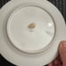 7 VTG Sango Dinner Plates In The Arcadia Pattern (Pink Roses), Made In Japan