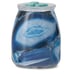 Blue Agate Scentsy Warmer