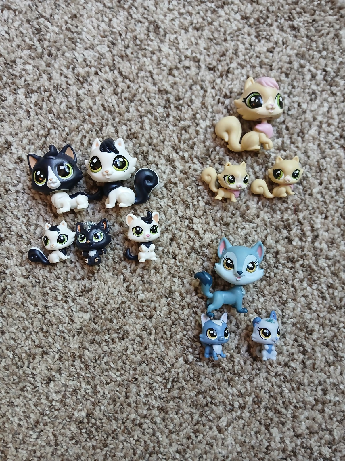 Little pet shop families