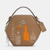 Coach X Jean Michel Basquiat Hexagonal Crossbody bag purse c5654