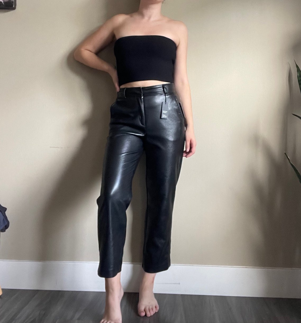 NWT Aritzia Babaton Command Cropped Leather Pants