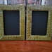 Brahmin Melbourn Green Leather Frames
