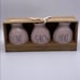 Rae Dunn LOVE GROWS HERE Bud Vases