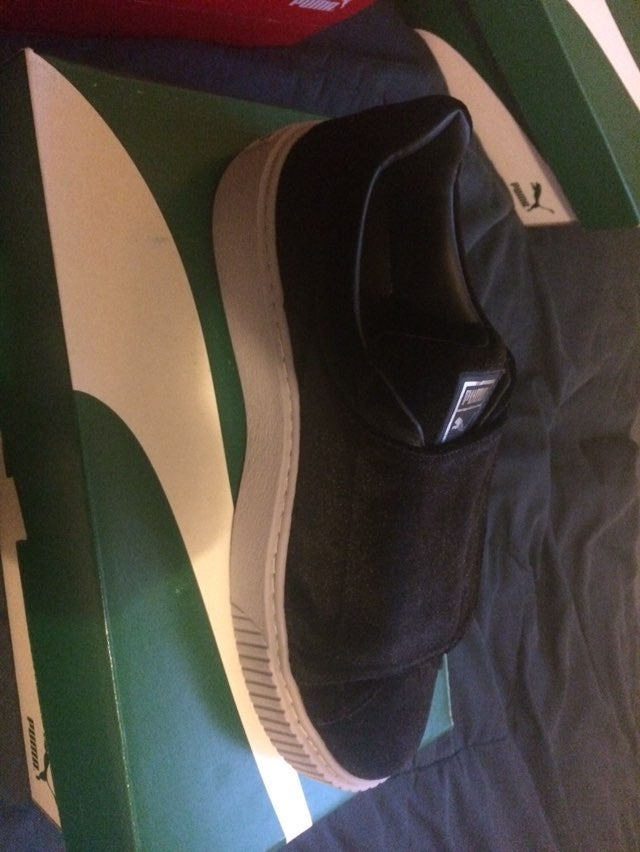 Brand new puma
