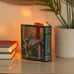 NEW 2 piece Scentsy Harry Potter & the Sorcerer’s Stone Book Warmer + Wax Bar!