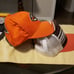 Cleveland Browns Hats
