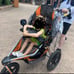 BOB Strollers Revolution Stroller Orange