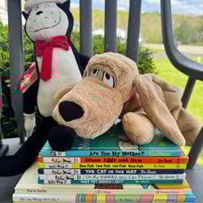 9 dr suess books oh the places you will go cat in hat plush lot