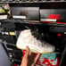 Jordan 11