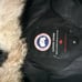 Canada goose Men size S