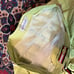 Moncler Men's Sz Large Swim Trunks Shorts Dark Lime Green Fluorescent Yellow