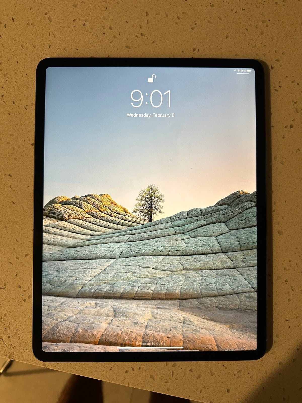 Apple iPad Pro 4th Generation 128 GB