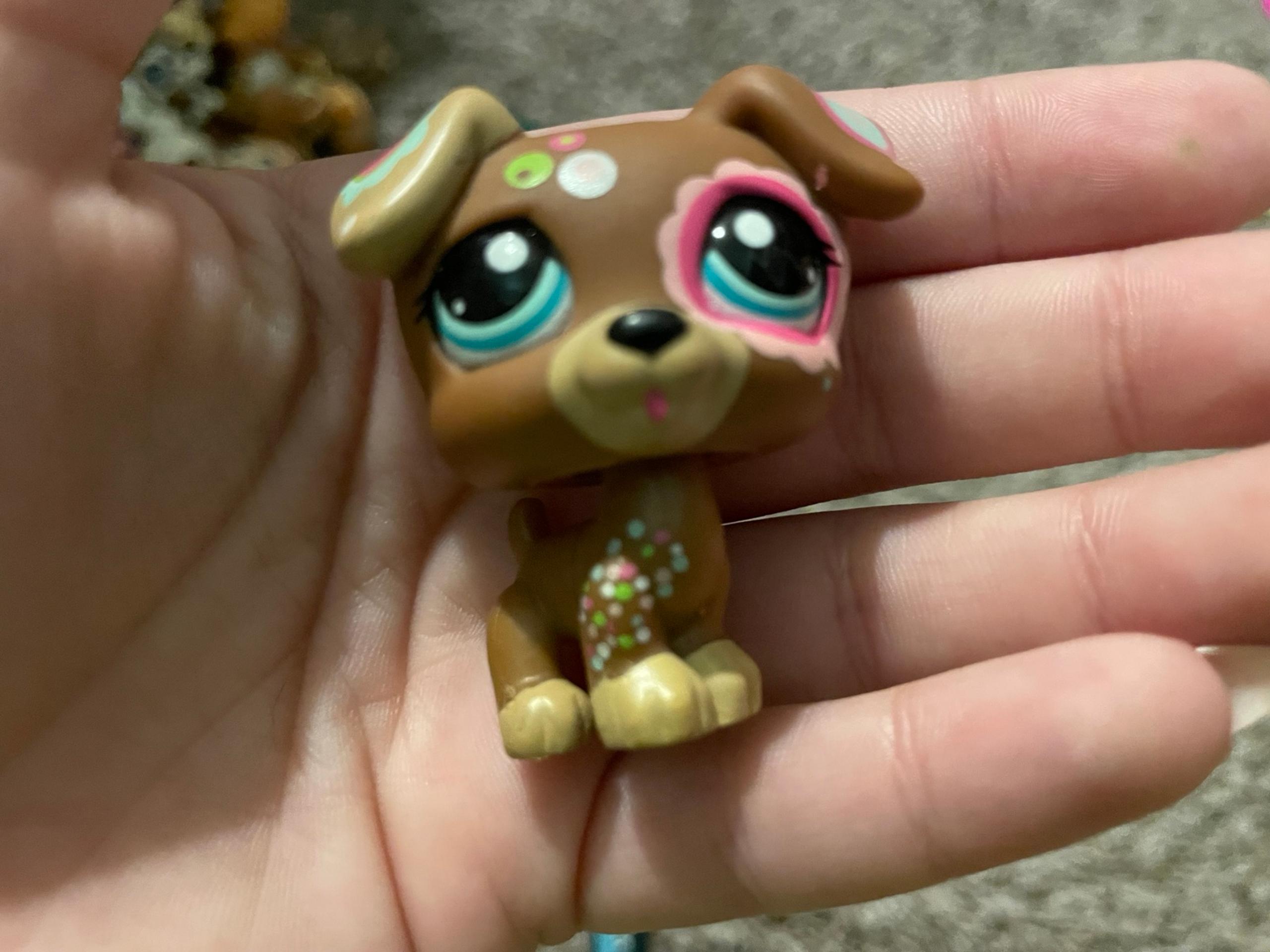 Lps authentic Jack Russell 1579