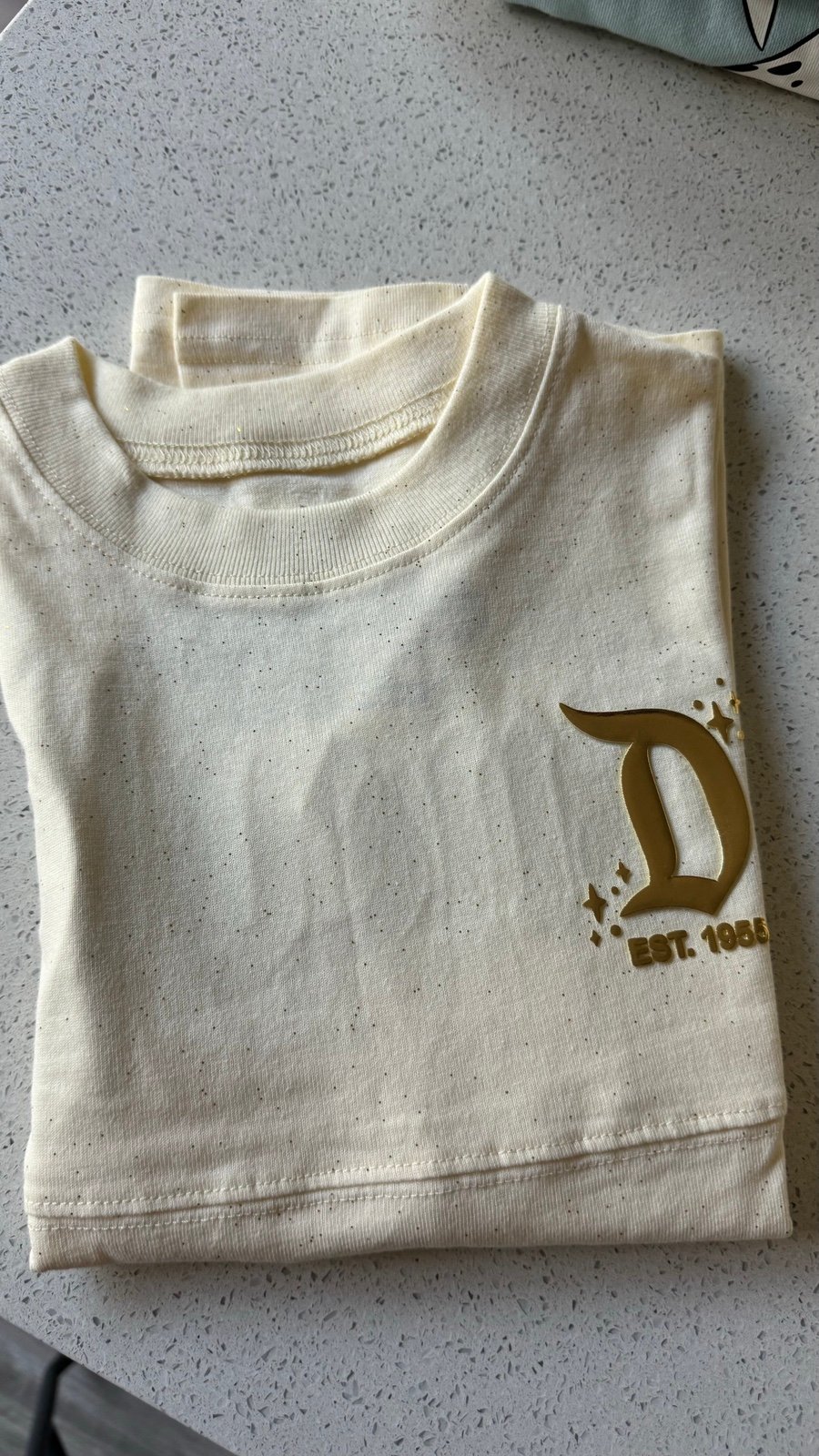 Disneyland Youth jersey