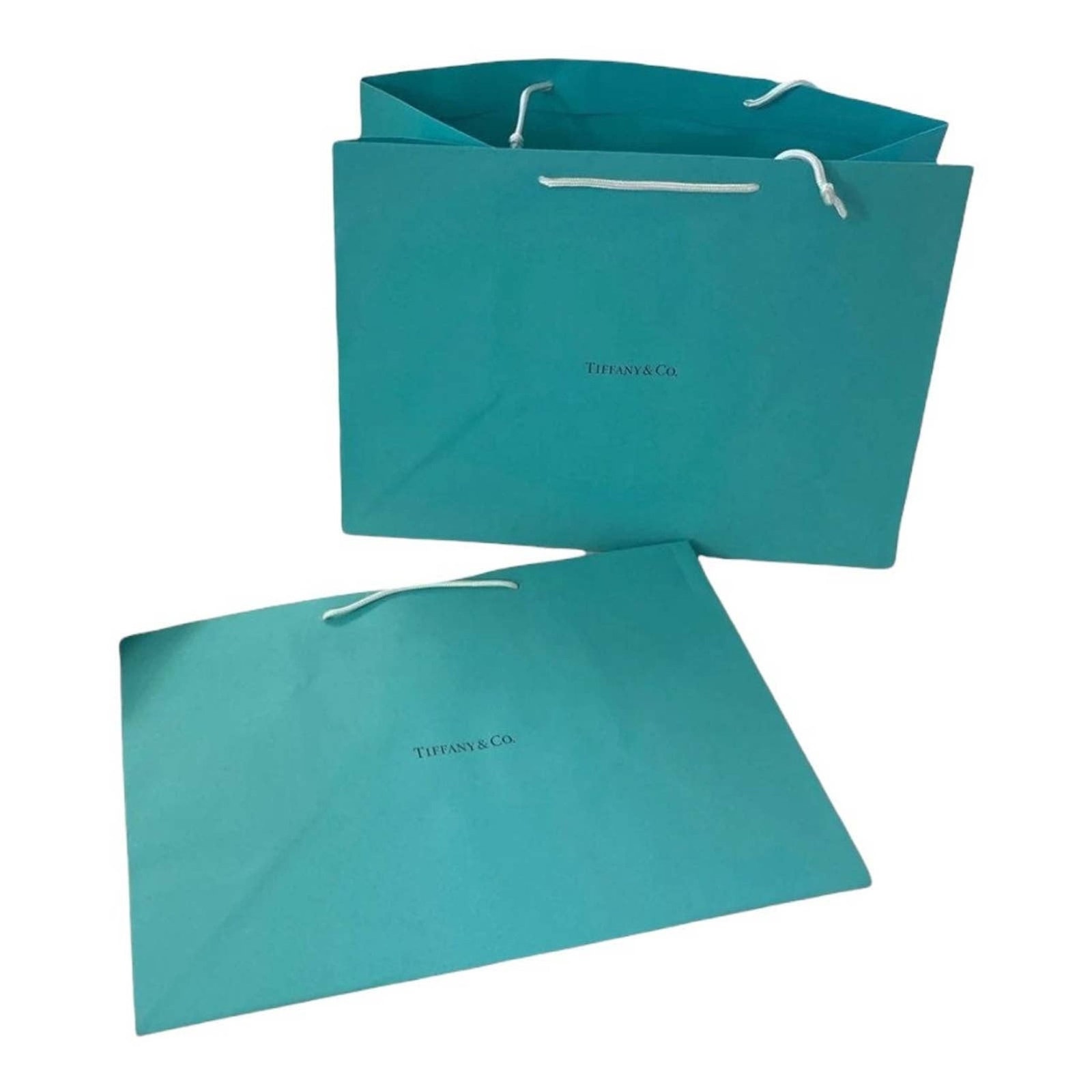Tiffany & Co. Paper Shopping Bag Set of 2