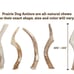 Prairie Dog Whole Deer Antler Dog Chews, 9-10.5in, 3count