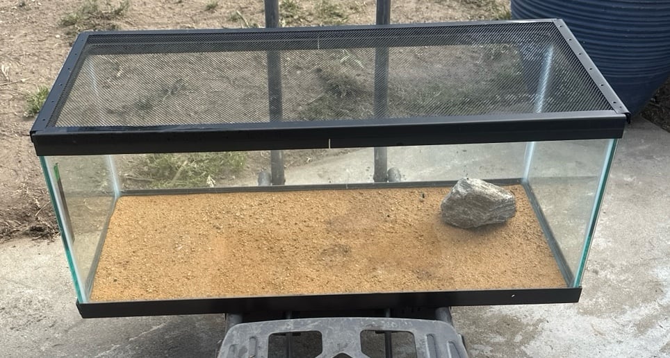 Reptile cage