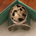 Silpada Sterling Jasper Adjustable Ring