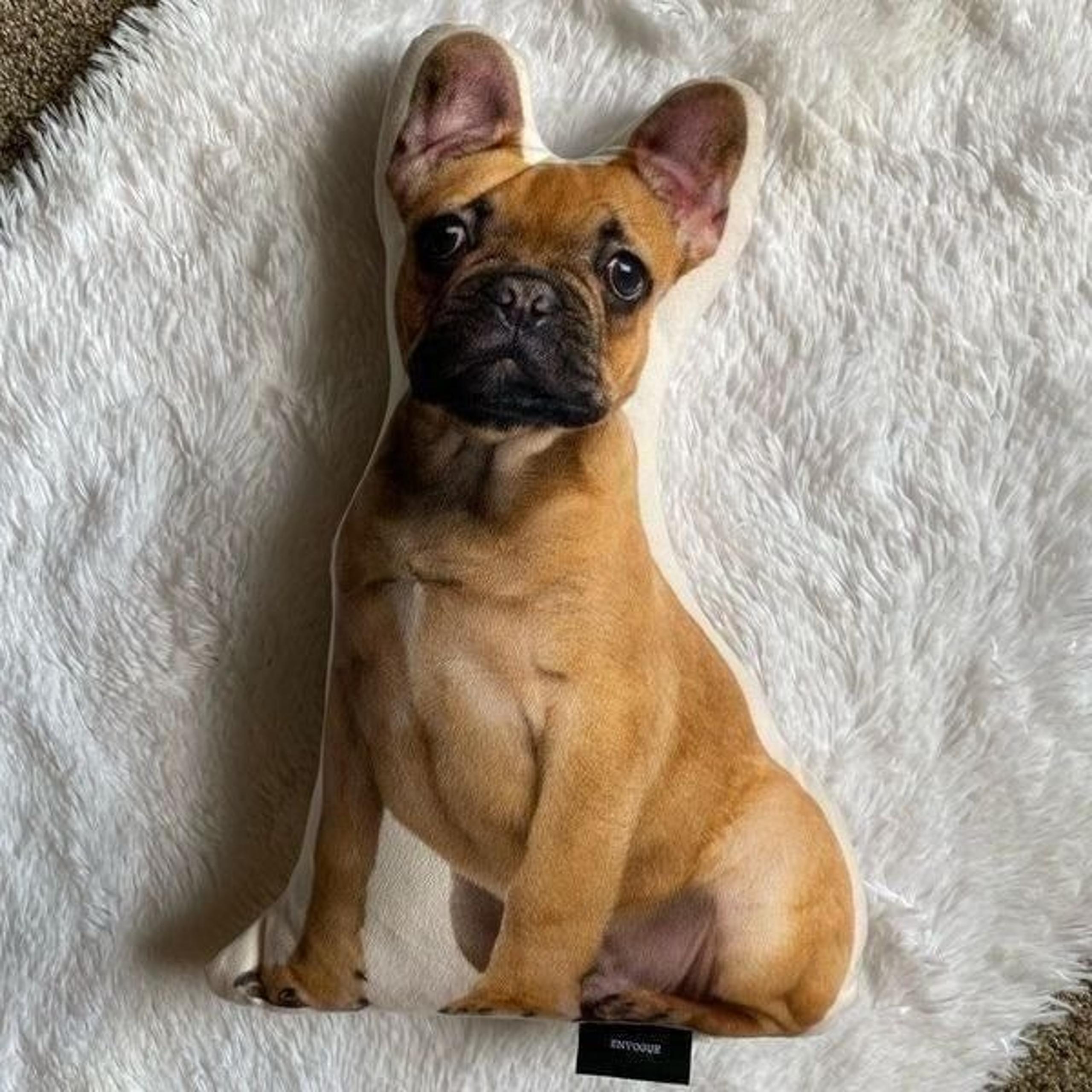 Envogue Frenchie Bulldog Puppy Dog  Decorative Pillow Smooth Double Sided