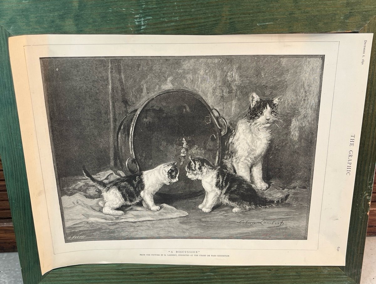Rare Antique 1890 Newspaper Cat/kitten Art Framed black and white