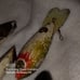 Antique fishing lures