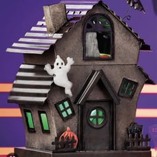 Scentsy Manic Manison Warmer