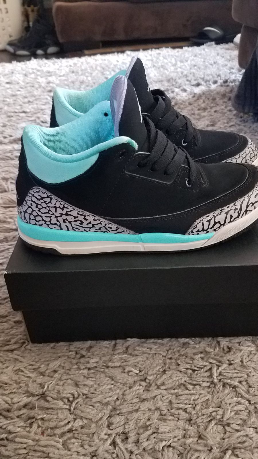 Jordan 3 Black Mint