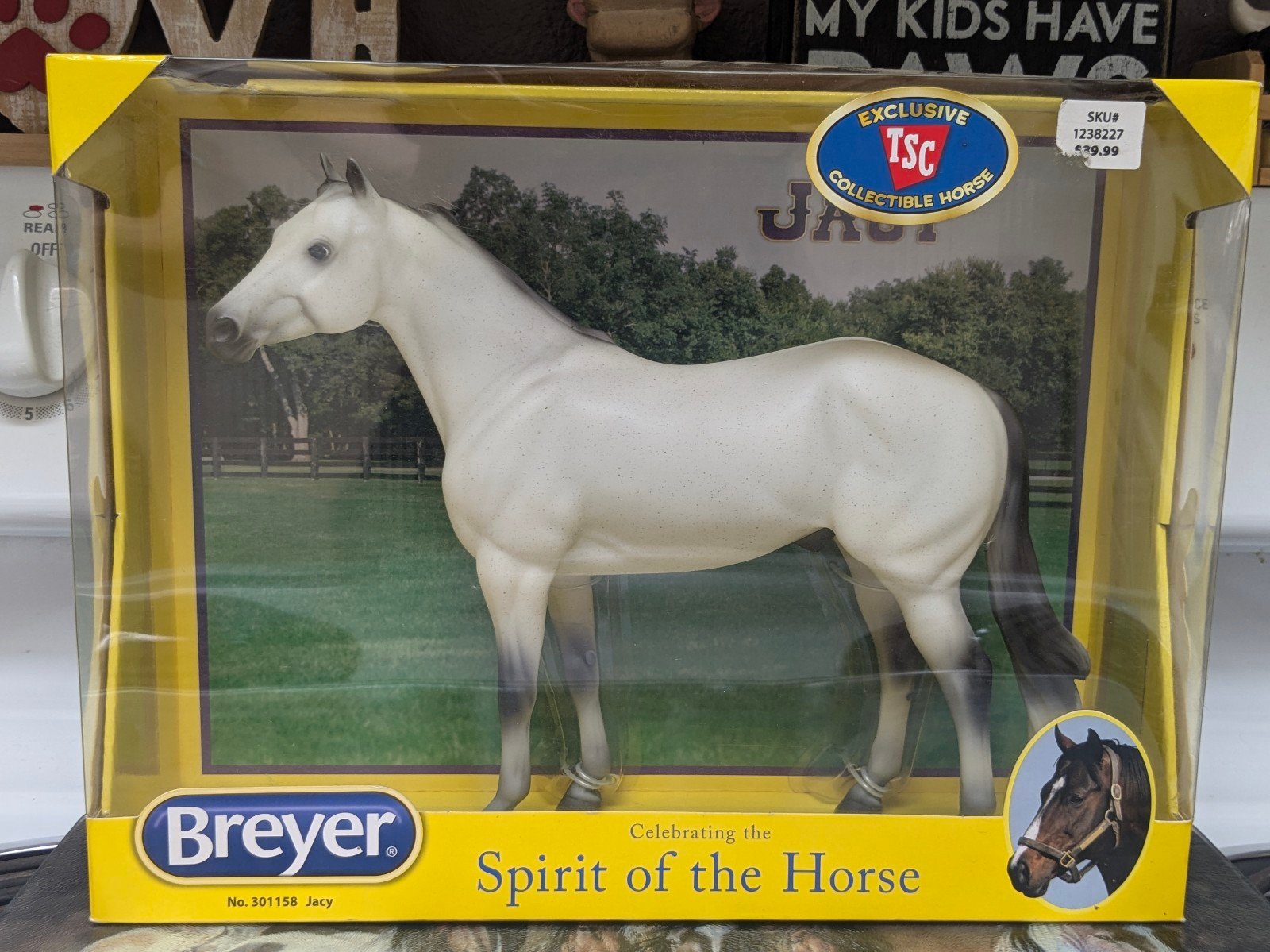 Breyer Horse Jacy, Geronimo Mold. New In Box. 2017 Tractor Supply Co. Special