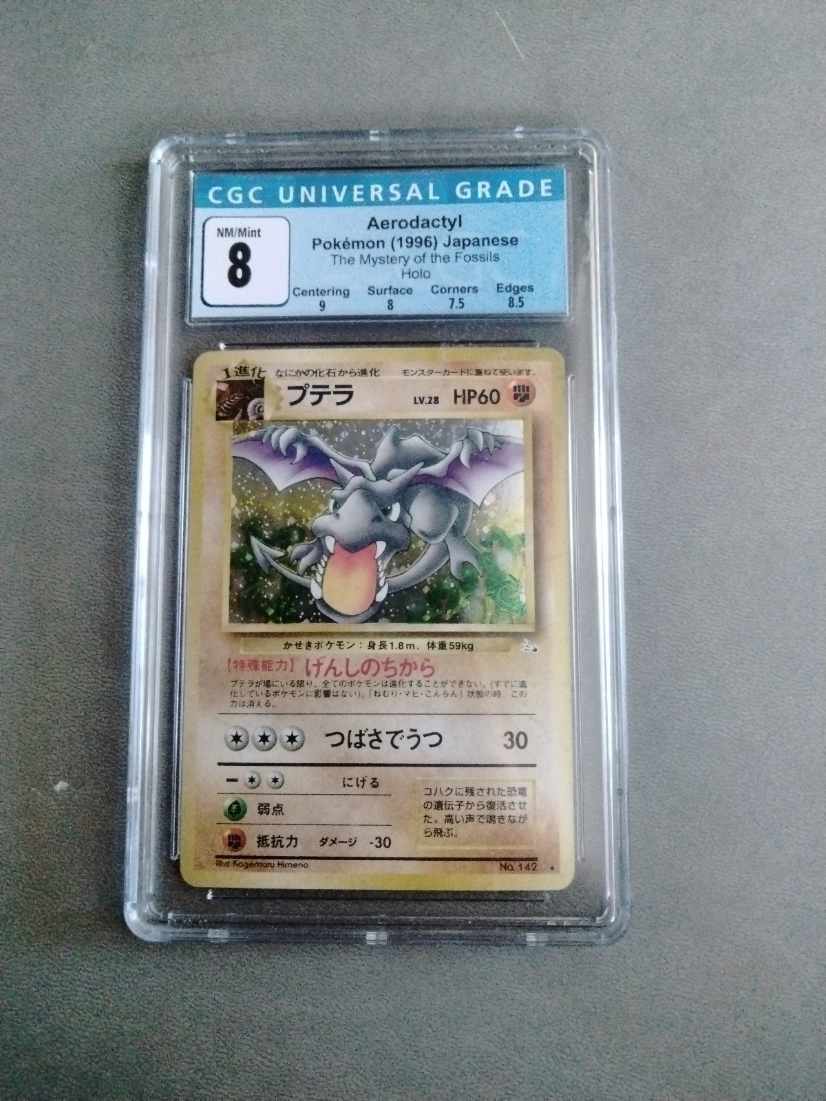 Japanese Aerodactyl from Fossil