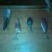 Vintage Fishing Spoons and spinners