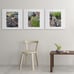 Set of 3 Nature Prints