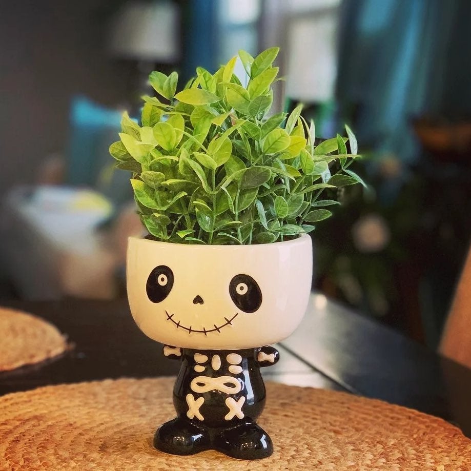 Skeleton Boy Faux Succulent Planter