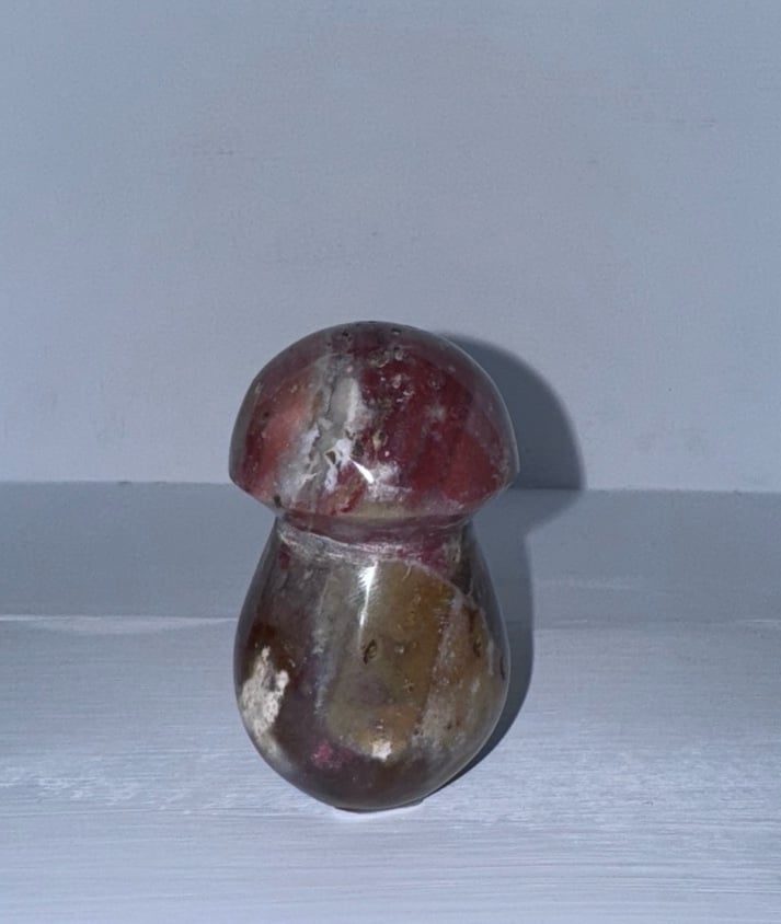 Ocean jasper Mushroom