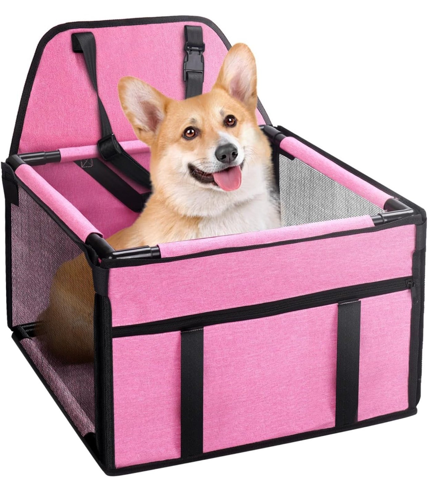 Travel Dog bundle