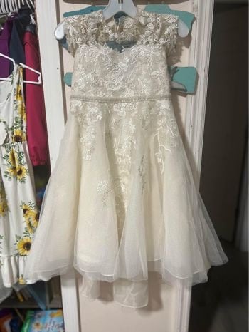 David's Bridal dress