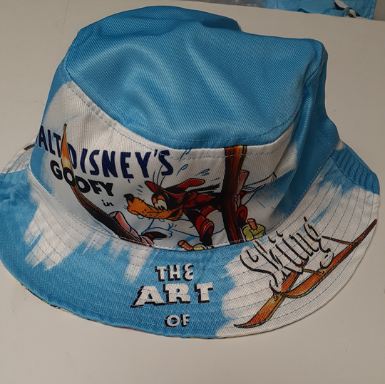 Disney Goofy in the art of skiing bucket hat nwt 400948770834